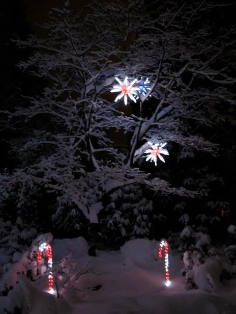 Reliable residential landscaping for residential properties across Bellevue, WA - Serene Scapes