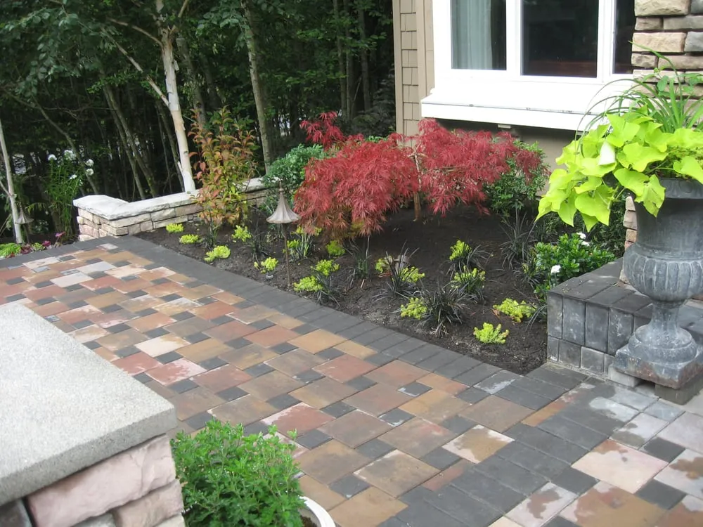 Professional lawn care service in Bellevue, WA by Serene Scapes