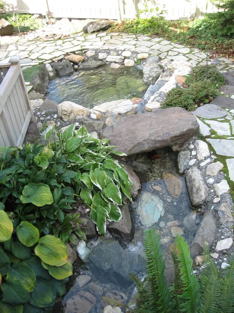 Expert lawn care service experts serving Bellevue, WA - Serene Scapes