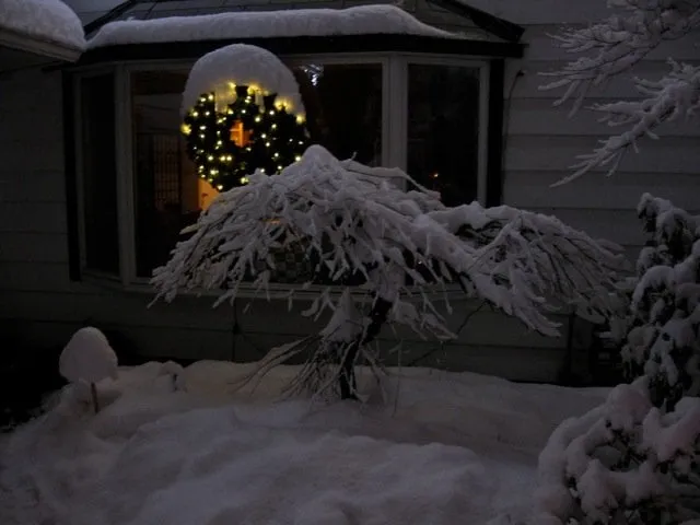 Local outdoor landscaping in Bellevue, WA - Serene Scapes