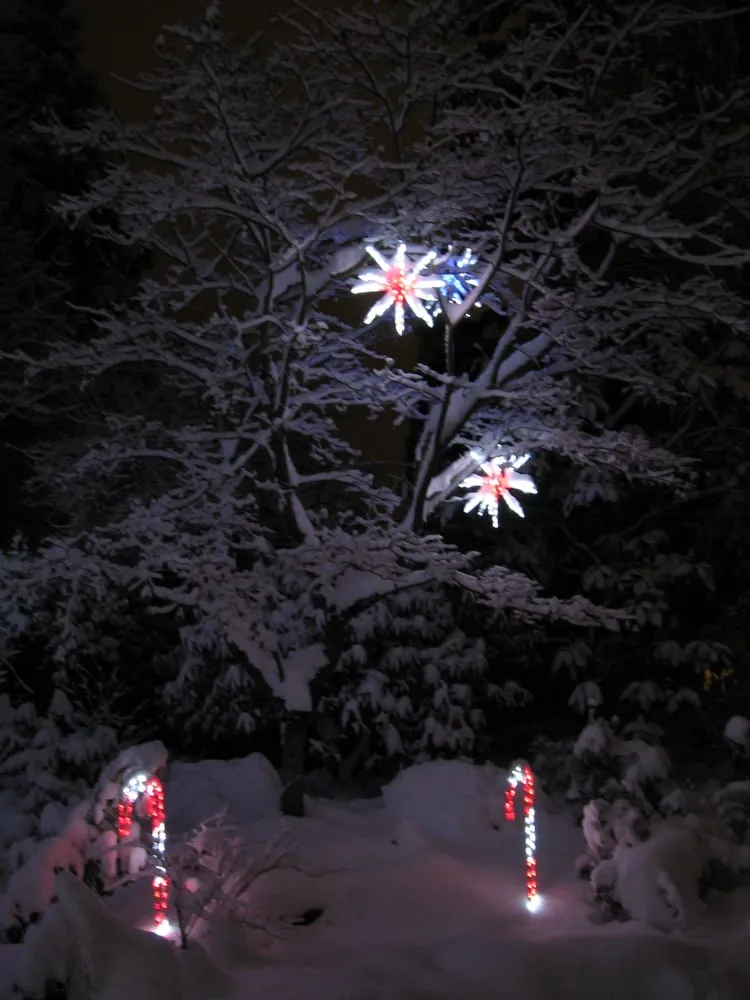 Local residential landscaping experts serving Bellevue, WA - Serene Scapes