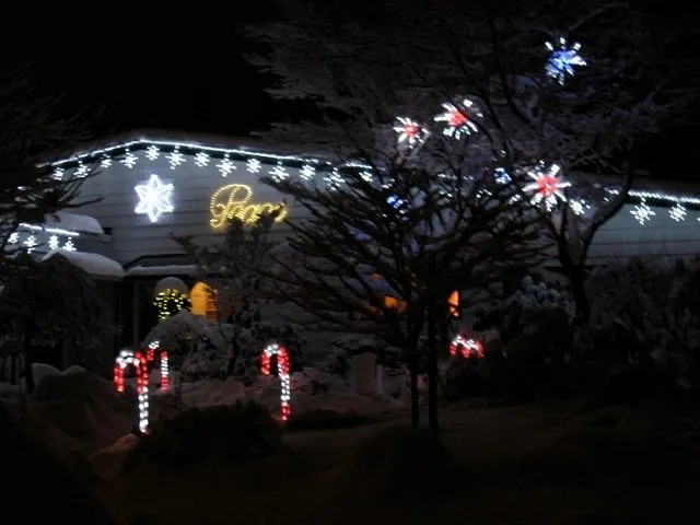 Professional landscaping services near you in Bellevue, WA by Serene Scapes