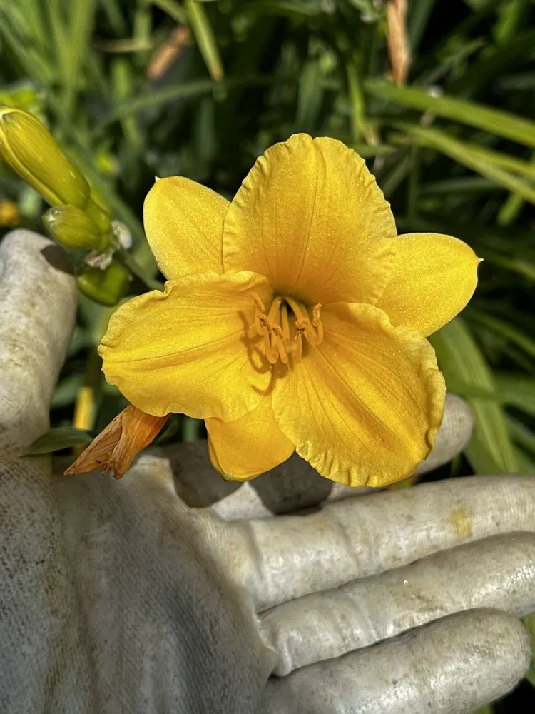 Custom landscape installation in Bozeman, MT by Serene Scapes Gardening & Landscaping
