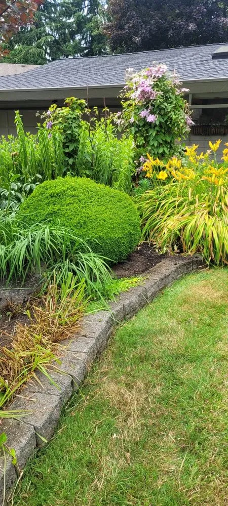 Reliable lawn care service experts serving Woodinville, WA - Serene Scenaries