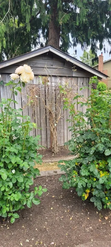 Trusted landscaping services in Woodinville, WA by Serene Scenaries