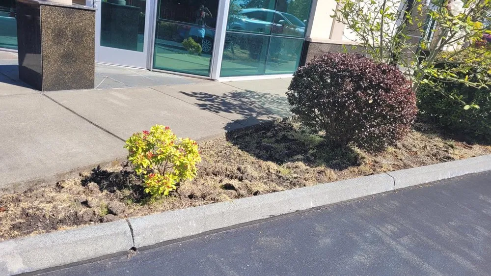 Affordable garden landscaping near you in Woodinville, WA by Serene Scenaries