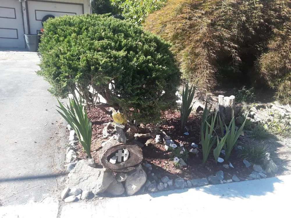 Affordable landscaping services for beautiful yards in Woodinville, WA by Serene Scenaries