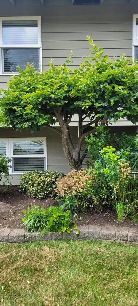 Reliable landscape design in Woodinville, WA - Serene Scenaries