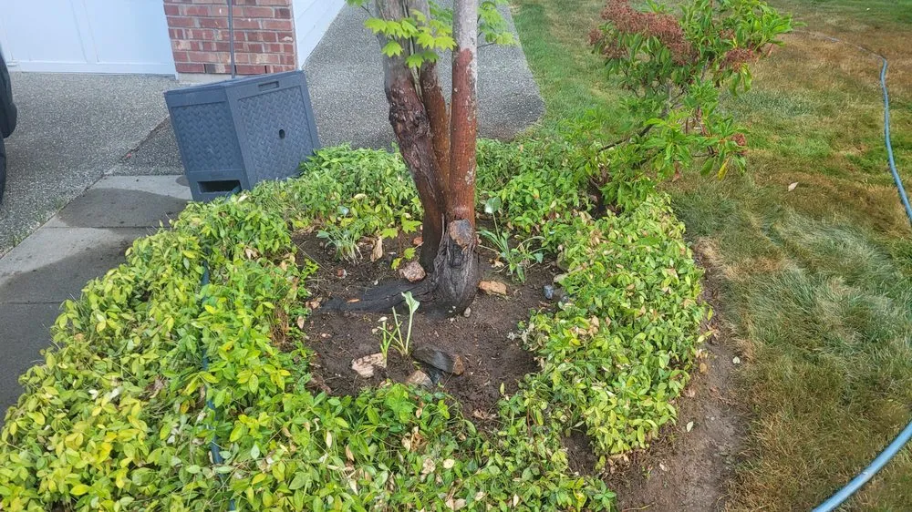 Expert landscaping services in Woodinville, WA by Serene Scenaries