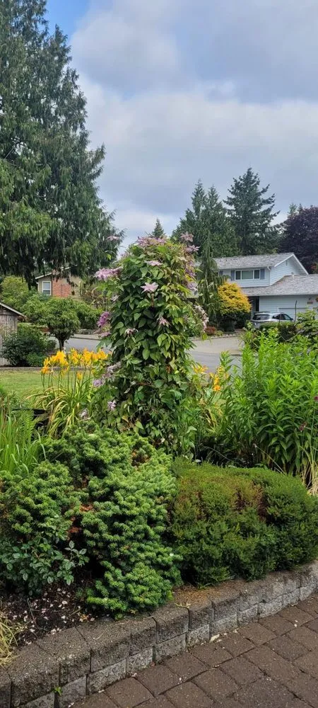 Local lawn mowing service in Woodinville, WA by Serene Scenaries