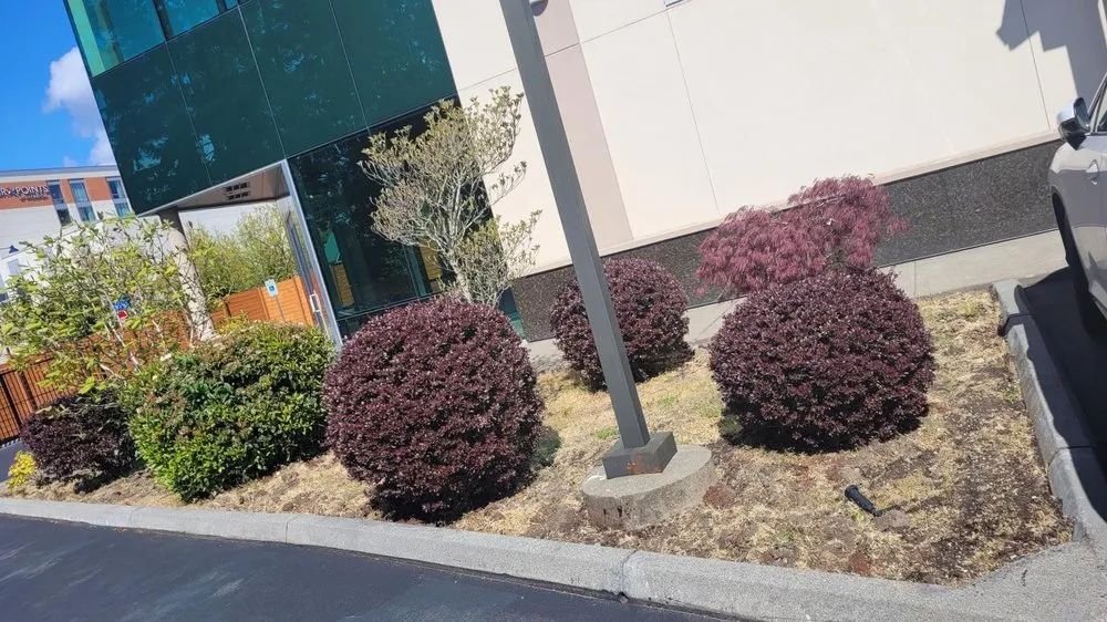 Expert landscaping services for year-round maintenance in Woodinville, WA by Serene Scenaries