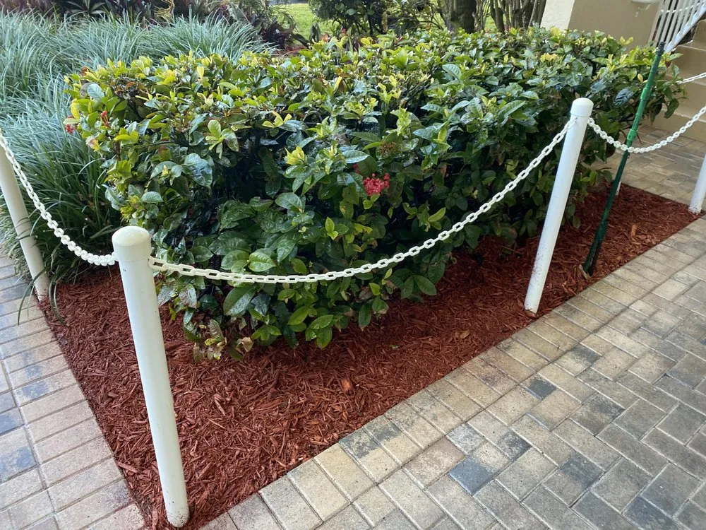 Top-rated landscape installation experts serving Melbourne, FL - Serene Scenes Landscaping