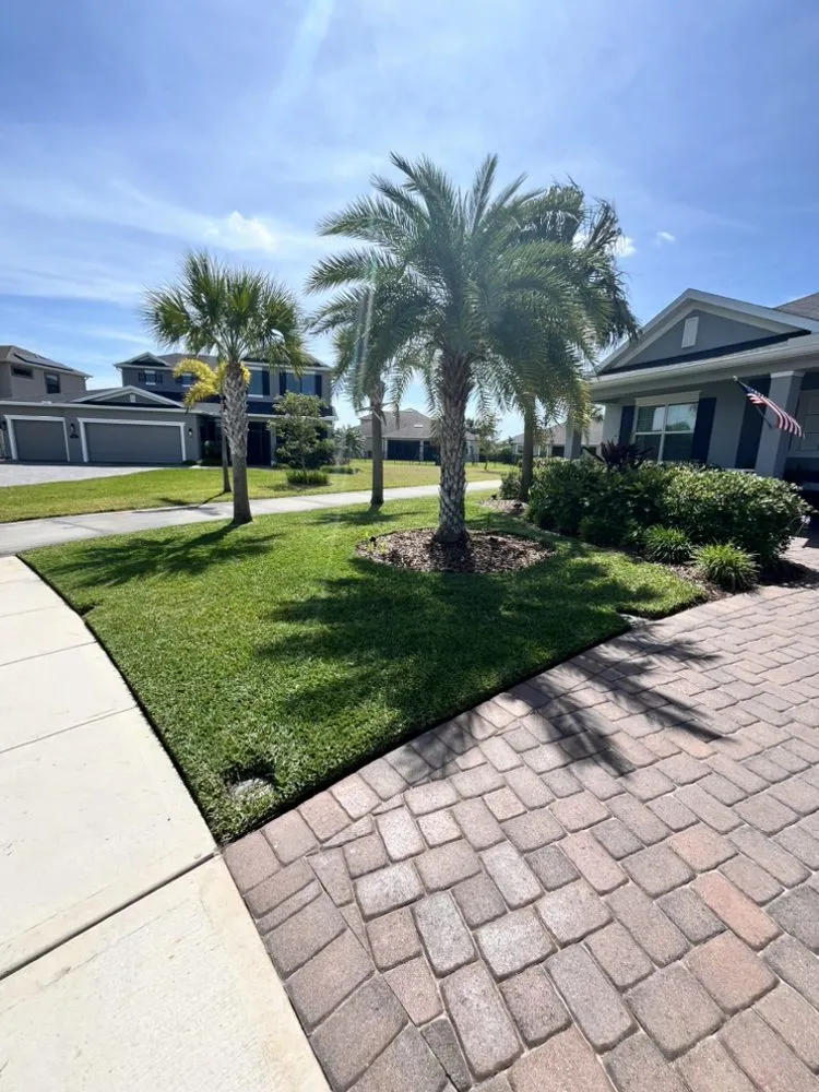 Top-rated outdoor landscaping in Melbourne, FL - Serene Scenes Landscaping