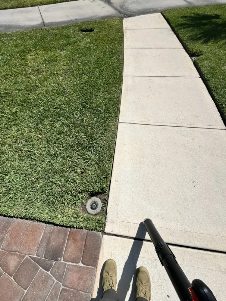 Reliable landscape installation in Melbourne, FL by Serene Scenes Landscaping