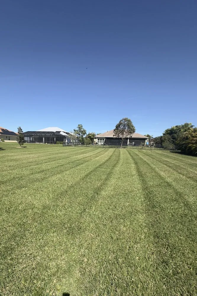 Custom lawn care service in Melbourne, FL - Serene Scenes Landscaping