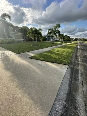 Serene Scenes Landscaping Logo