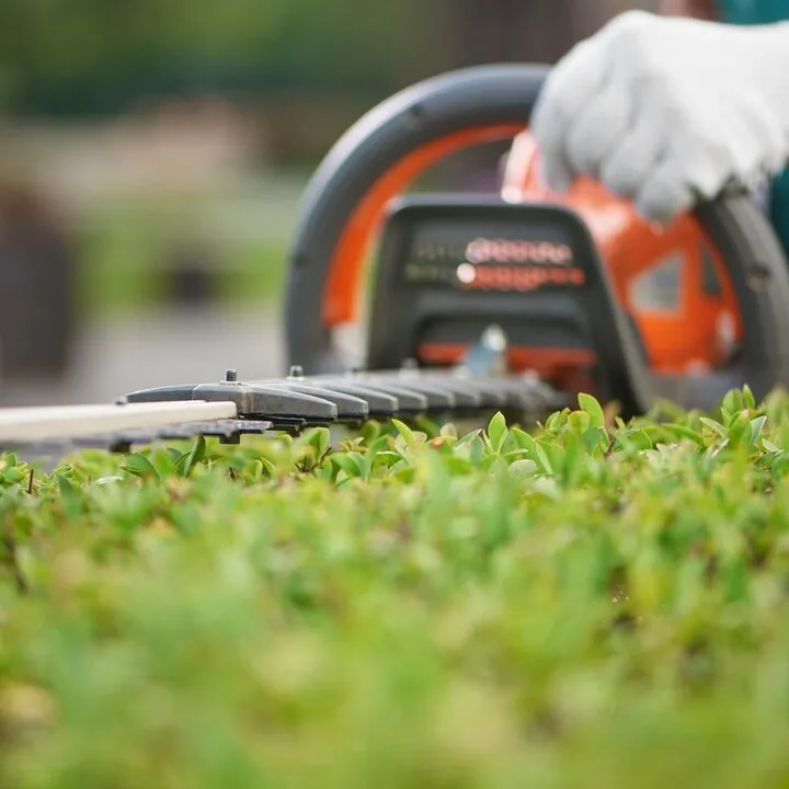 Affordable residential landscaping near you in Collierville, TN by Serene Scenes Lawn and Landscape