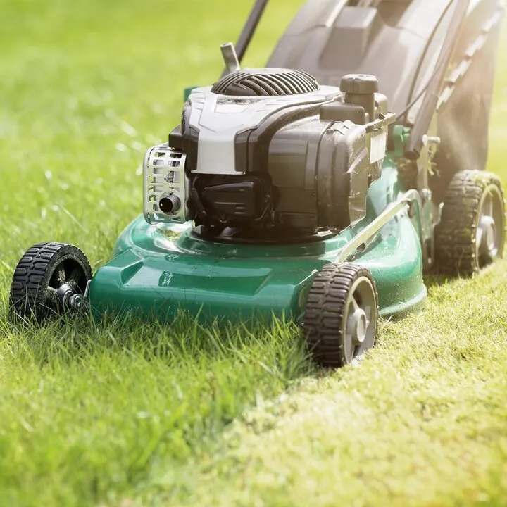 Top-rated lawn care service experts serving Collierville, TN - Serene Scenes Lawn and Landscape