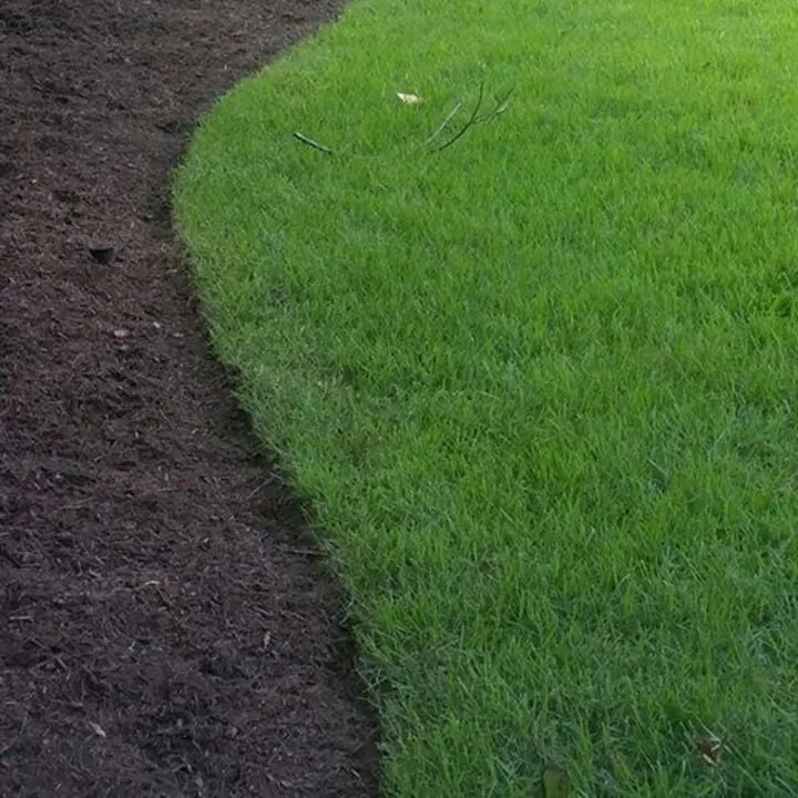 Trusted lawn care service for residential properties in Collierville, TN by Serene Scenes Lawn and Landscape