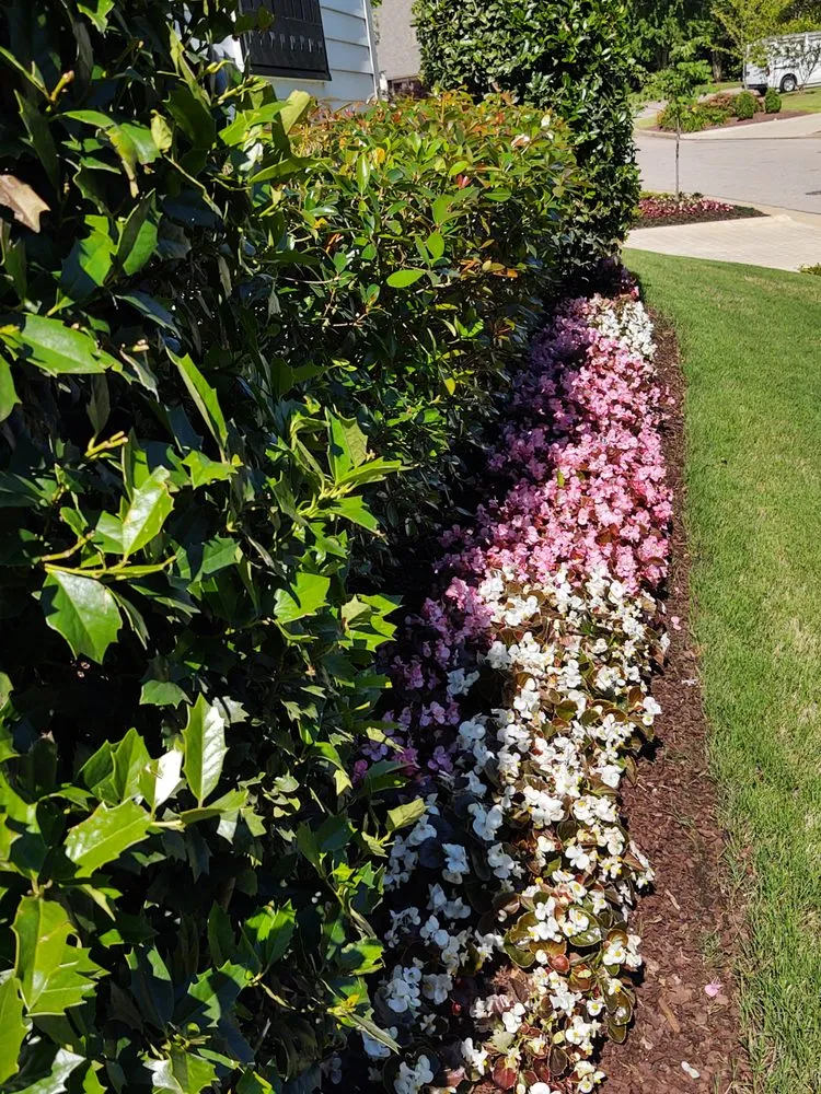 Expert outdoor landscaping near you across Collierville, TN - Serene Scenes Lawn and Landscape