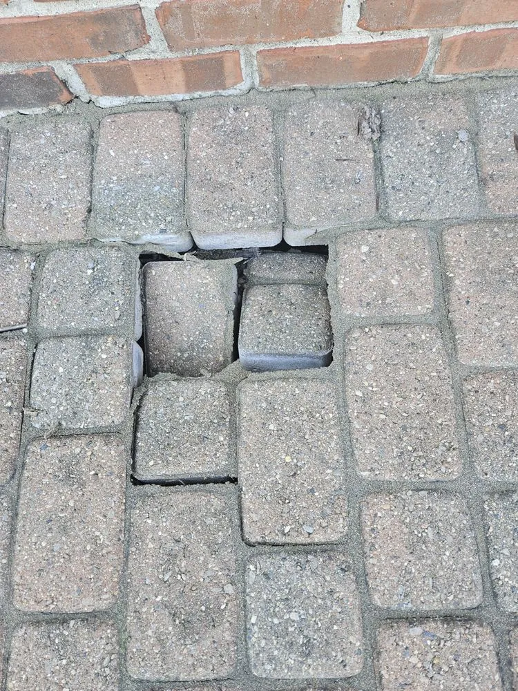 Affordable landscape installation for residential properties across Plymouth, MI - Serene Surroundings