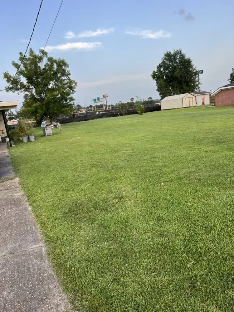 Top-rated yard maintenance in Sulphur, LA by Serenity Cuts