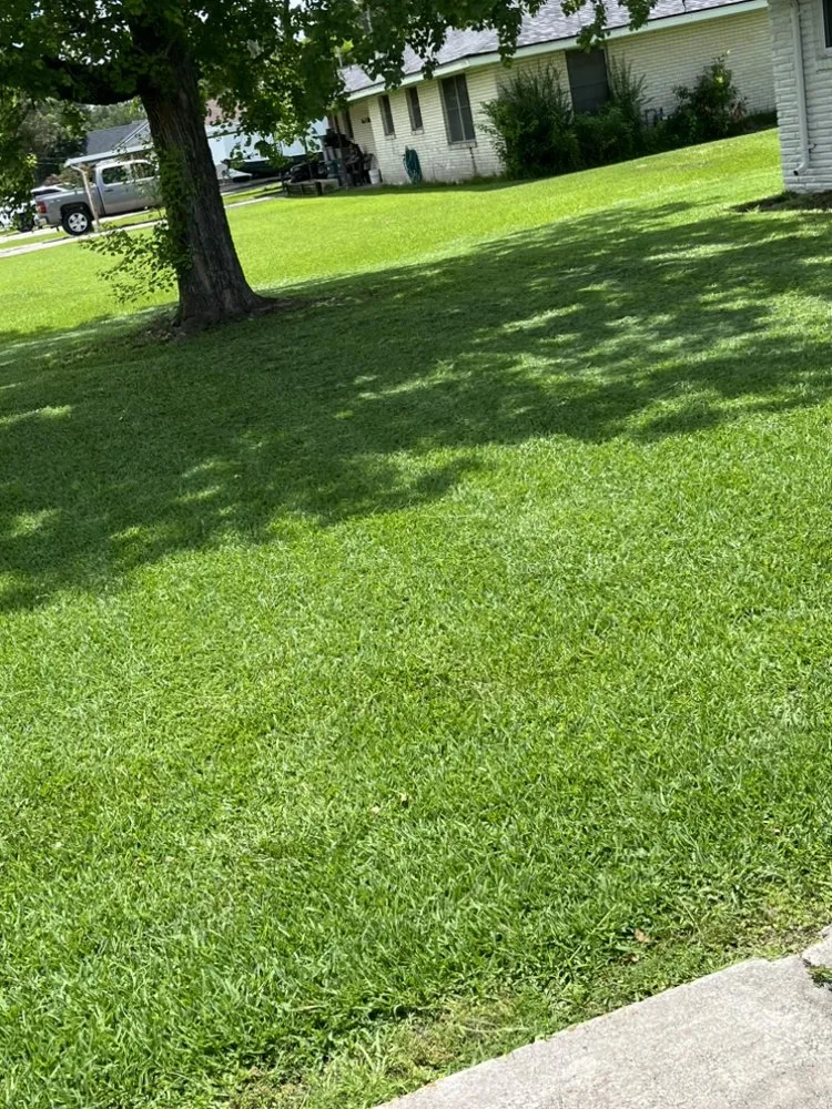 Top-rated yard cleanup service in Sulphur, LA - Serenity Cuts