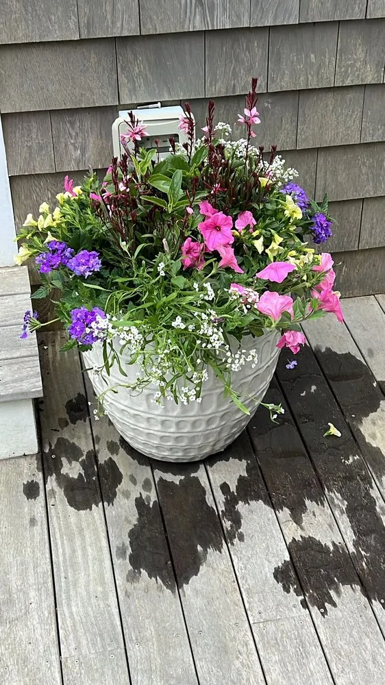 Professional residential landscaping experts serving Nantucket, MA - Serenity Designs Nantucket Landscaping