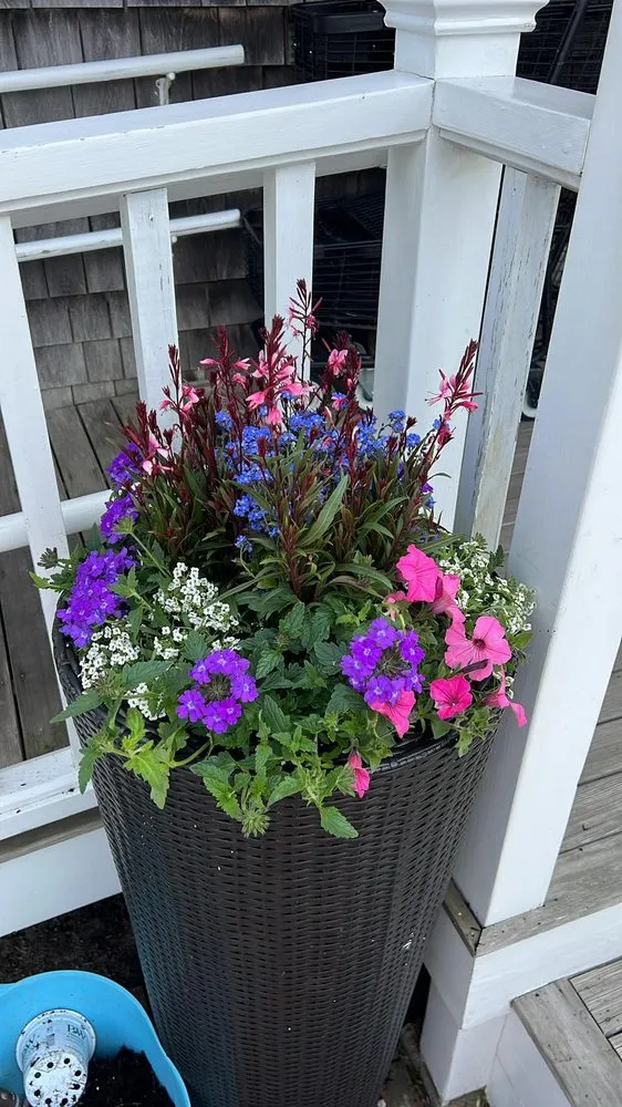 Affordable lawn mowing service experts serving Nantucket, MA - Serenity Designs Nantucket Landscaping