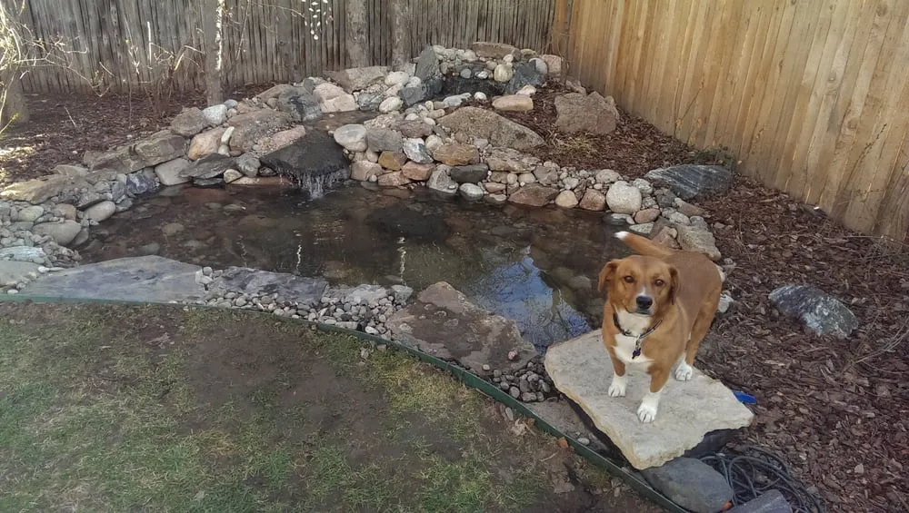 Professional landscape installation for year-round maintenance across Colorado Springs, CO - Serenity Falls Water Features