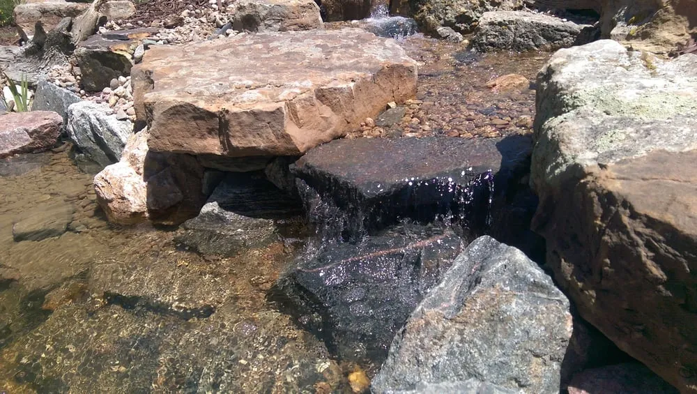 Expert yard cleanup service near you across Colorado Springs, CO - Serenity Falls Water Features