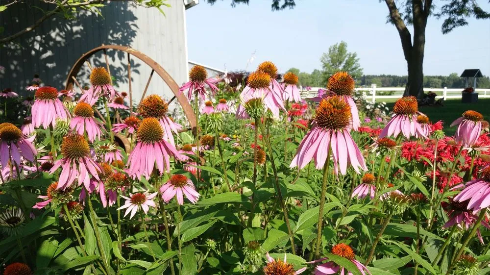 Expert outdoor landscaping in Sheboygan, WI - Serenity Farm Landscaping
