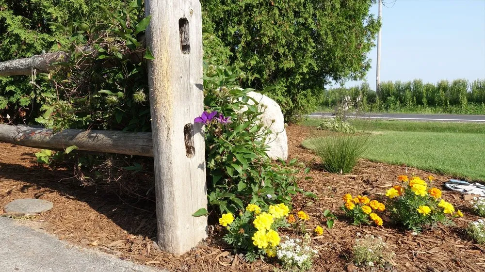 Affordable lawn care service for outdoor upgrades in Sheboygan, WI by Serenity Farm Landscaping