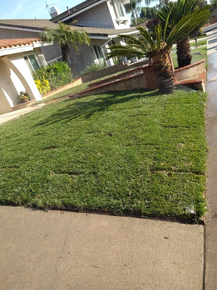 Expert residential landscaping for outdoor upgrades in City of Industry, CA by Serenity Gardening & Landscaping Services