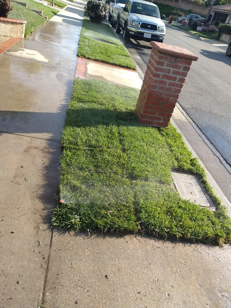 Affordable landscaping services in City of Industry, CA by Serenity Gardening & Landscaping Services