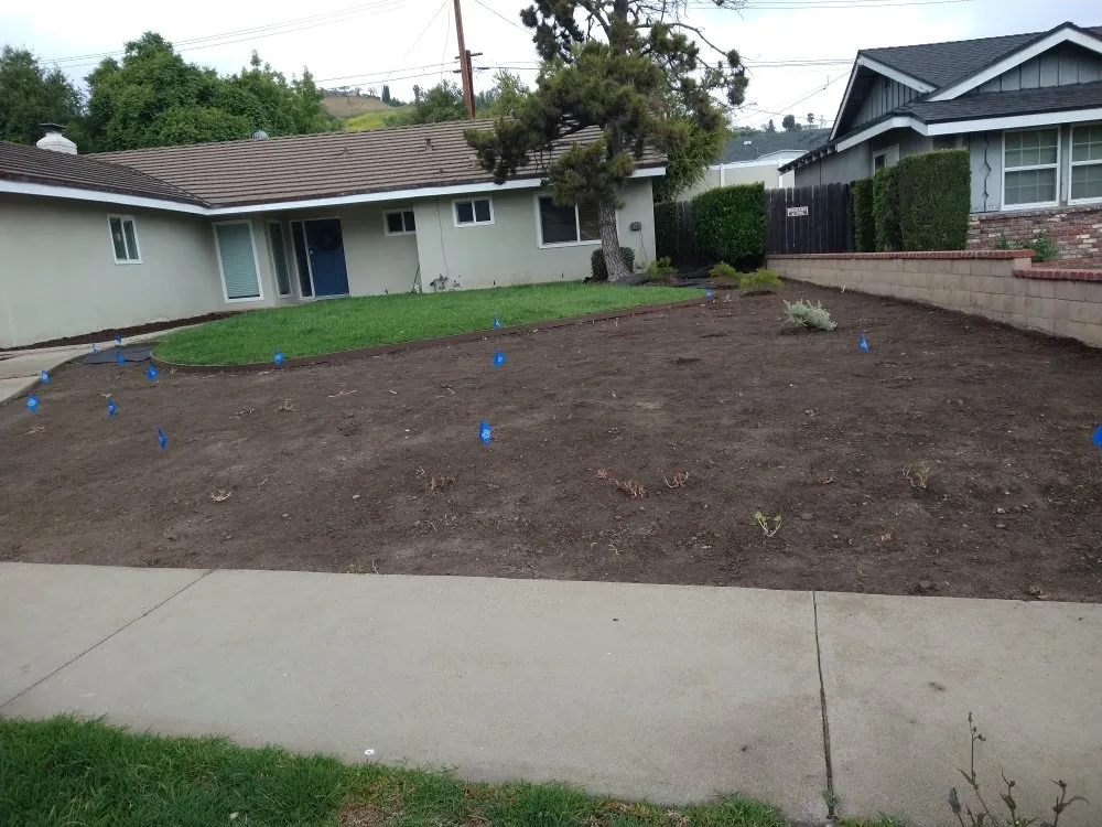 Top-rated yard cleanup service experts serving City of Industry, CA - Serenity Gardening & Landscaping Services