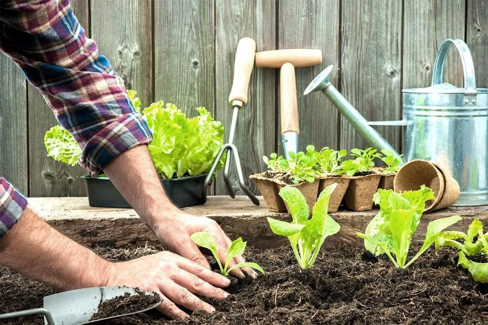 Local lawn care service near you in City of Industry, CA by Serenity Gardening & Landscaping Services