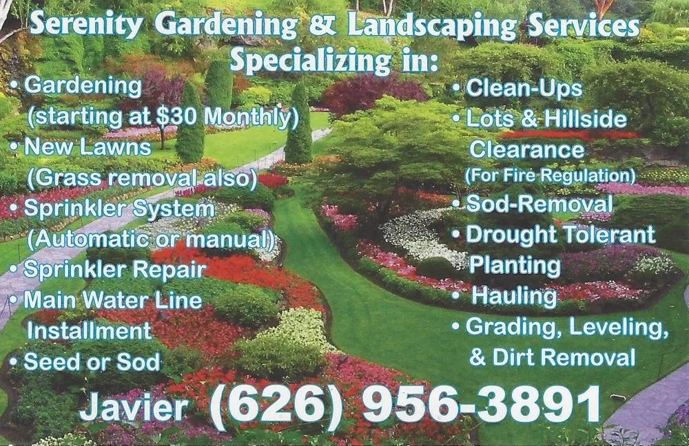 Expert yard cleanup service in City of Industry, CA - Serenity Gardening & Landscaping Services