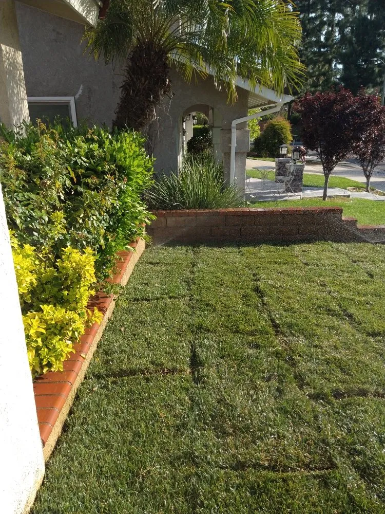 Local landscape installation experts serving City of Industry, CA - Serenity Gardening & Landscaping Services