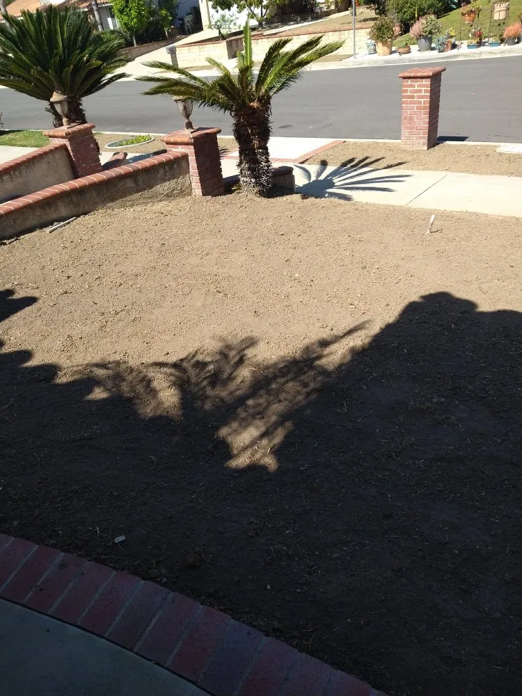 Custom yard cleanup service for homes in City of Industry, CA by Serenity Gardening & Landscaping Services