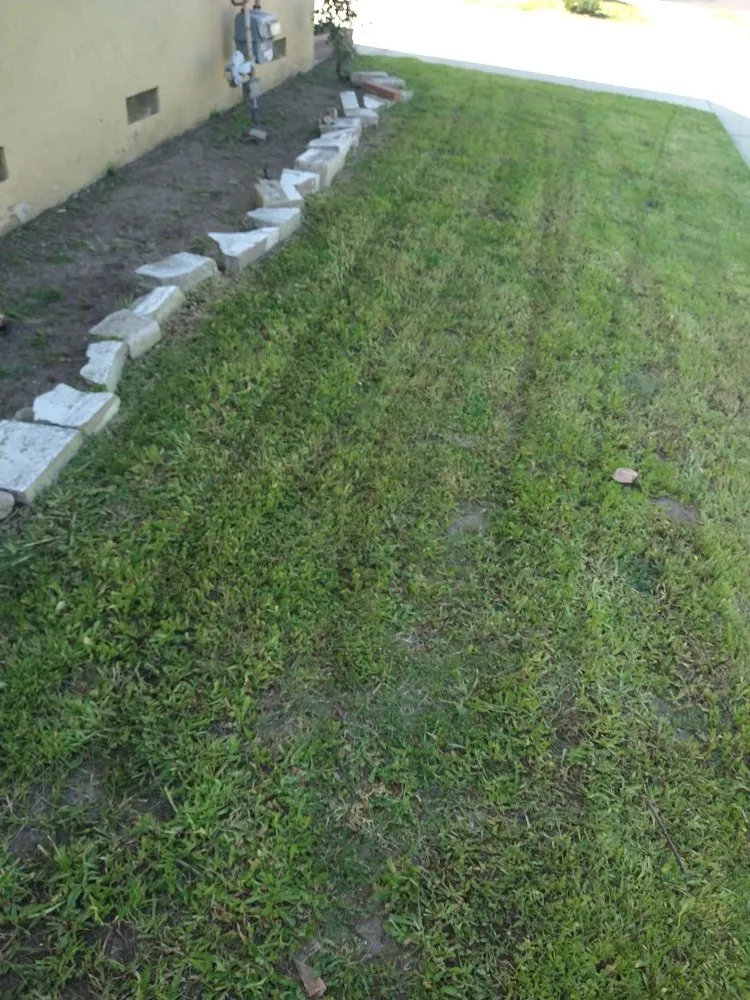 Local landscape installation in City of Industry, CA - Serenity Gardening & Landscaping Services