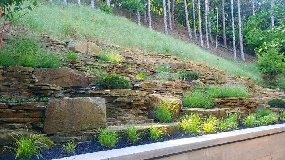 Expert yard cleanup service in Berrien Center, MI by Serenity Gardens Landscaping