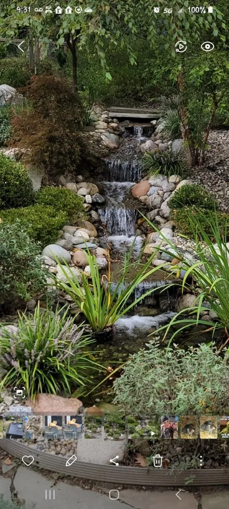 Custom yard maintenance for residential properties across Berrien Center, MI - Serenity Gardens Landscaping