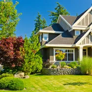 Trusted yard maintenance in San Diego, CA by Serenity Landscape Designs