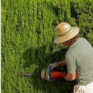 Affordable yard maintenance in San Diego, CA - Serenity Landscape Designs