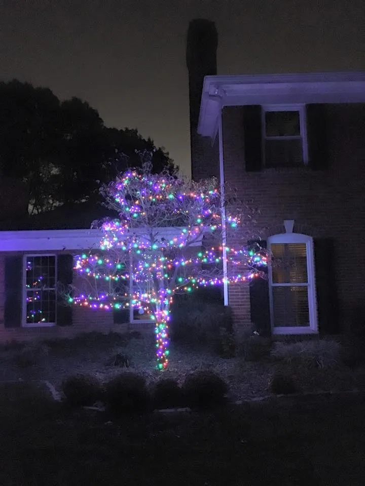 Top-rated outdoor landscaping in Ballwin, MO - Serenity Landscape Lighting