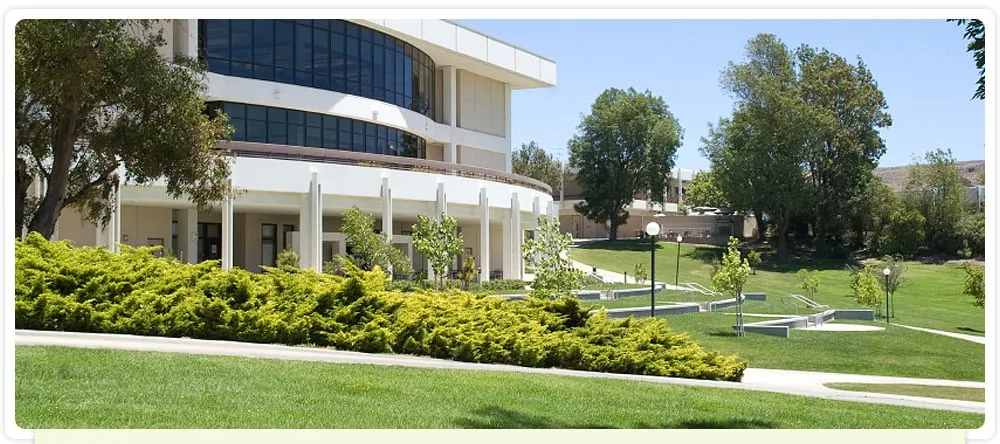 Expert yard maintenance in Charleston, SC by Serenity Landscape Management