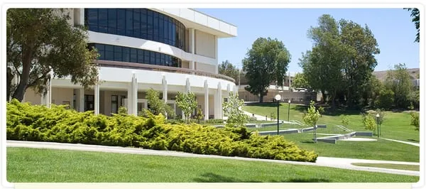 Serenity Landscape Management Logo