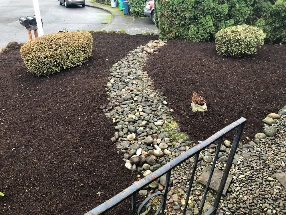 Top-rated yard cleanup service for beautiful yards in Sherwood, OR by Serenity Landscapes