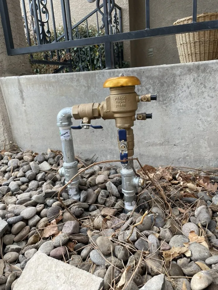 Custom yard cleanup service for year-round maintenance across Albuquerque, NM - Serenity Landscaping